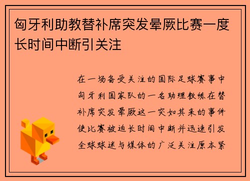 匈牙利助教替补席突发晕厥比赛一度长时间中断引关注